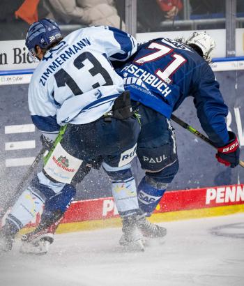 Adler Mannheim Stimmen STR v2