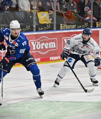 Adler Mannheim Stimmen STR v6
