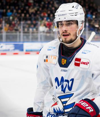 Adler Mannheim Stimmen STR v7