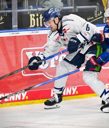 Adler Mannheim Stimmen STR v8