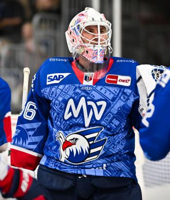 Adler Mannheim Stimmen STR v9