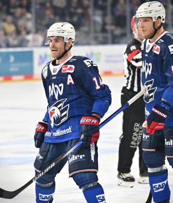 Adler Mannheim Stimmen STR