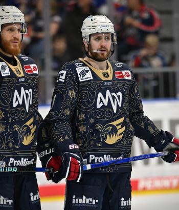Adler Mannheim Stimmen SWW v3