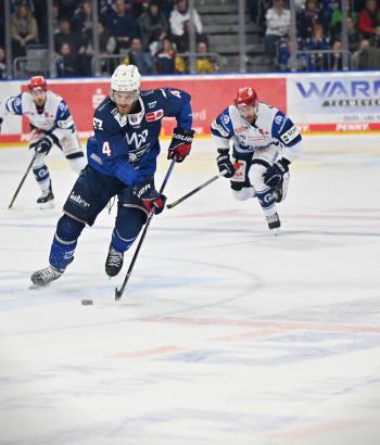 Adler Mannheim Stimmen SWW v4