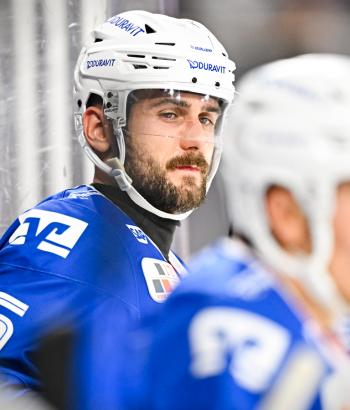 Adler Mannheim Stimmen SWW v5