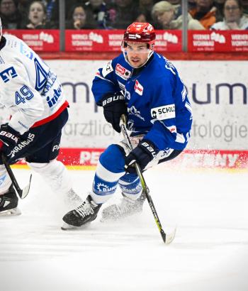 Adler Mannheim Stimmen SWW v7