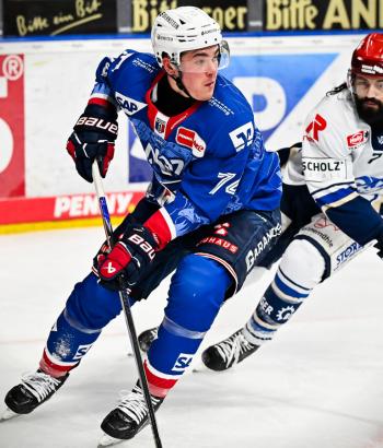 Adler Mannheim Stimmen SWW v8