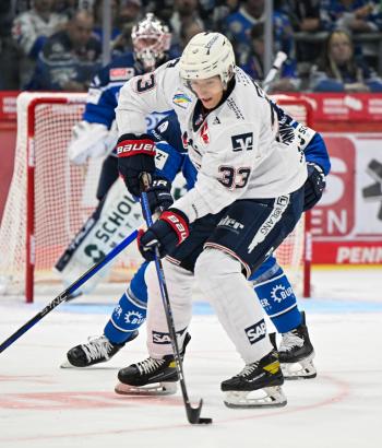 Adler Mannheim Stimmen SWW