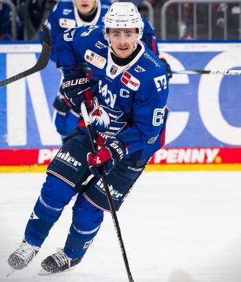 Adler Mannheim Stimmen VF1
