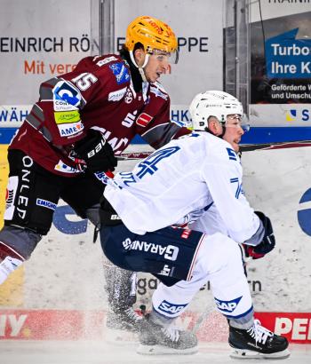 Adler Mannheim Stimmen VF2