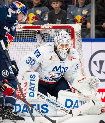Adler Mannheim Stimmen VF4