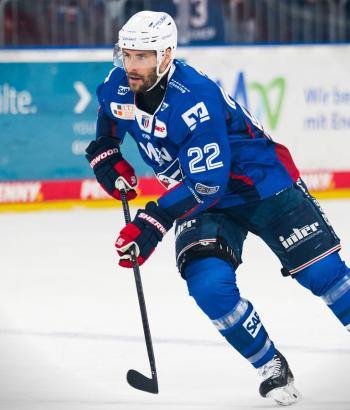 Adler Mannheim Stimmen VF5