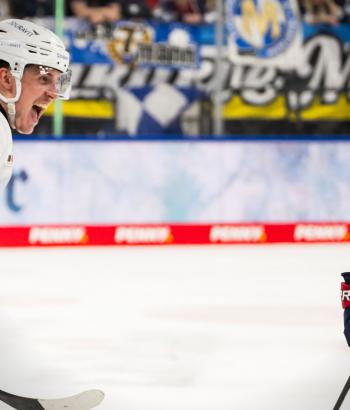 Adler Mannheim Stimmen VF6