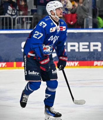 Adler Mannheim Stimmen WOB v6