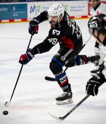Adler Mannheim Stimmen WOB v7
