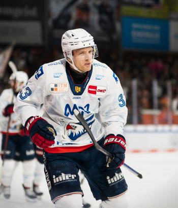 Adler Mannheim Stimmen WOB2
