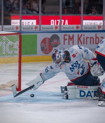 Adler Mannheim Stimmen ZSC
