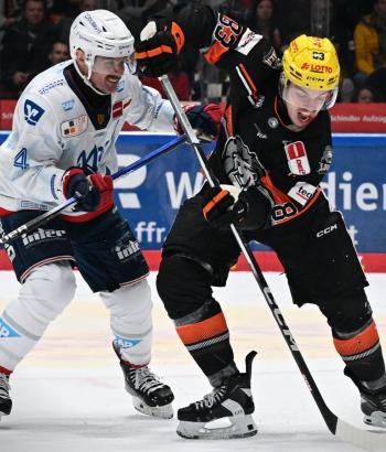 Adler Mannheim Stimmen