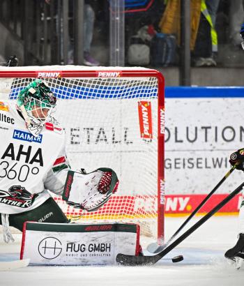 Adler Mannheim TC AEV v3