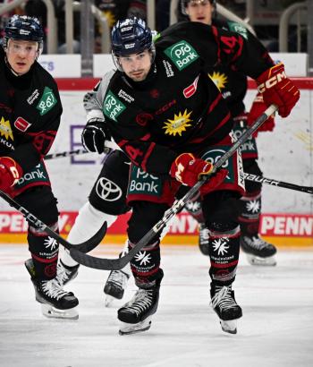 Adler Mannheim TC DEG