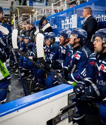 Adler Mannheim TC STR v2