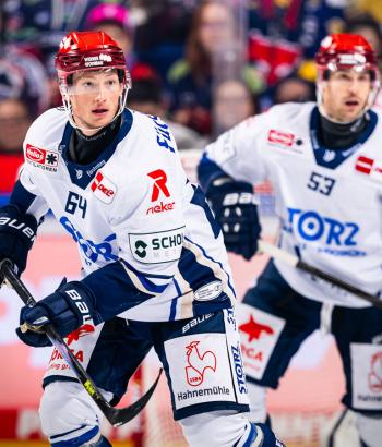 Adler Mannheim TC SWW v4