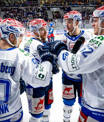 Adler Mannheim TC SWW