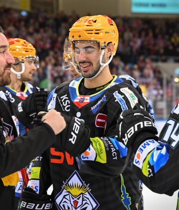 Adler Mannheim Teamcheck BHV