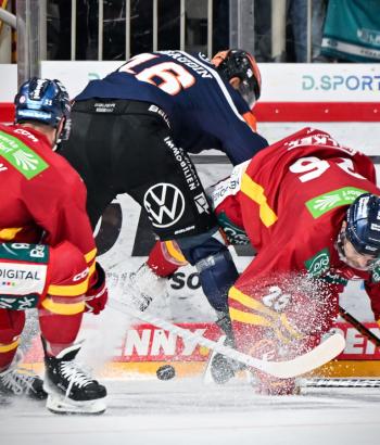 Adler Mannheim Teamcheck DEG