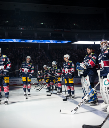 Adler Mannheim Teamcheck EBB