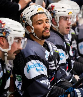 Adler Mannheim Teamcheck IEC