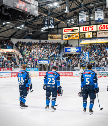 Adler Mannheim Teamcheck ING