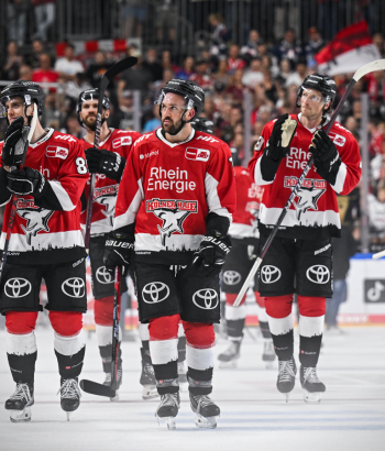 Adler Mannheim Teamcheck KEC