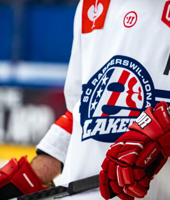 Adler Mannheim Teamcheck RAP