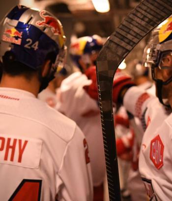 Adler Mannheim Teamcheck RBS