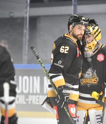 Adler Mannheim Teamcheck Rouen