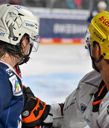 Adler Mannheim VVK FRA
