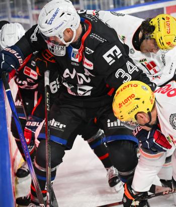 Adler Mannheim VVK Frankfurt