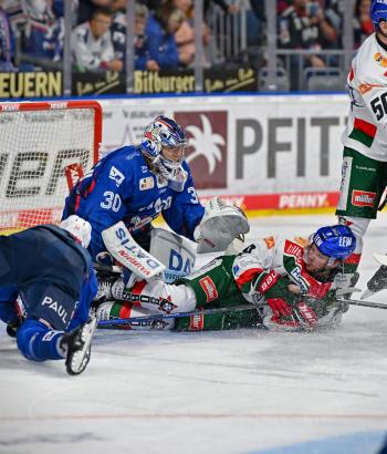 Adler Mannheim Vorbericht AEV