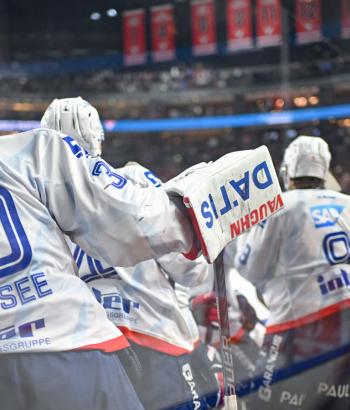 Adler Mannheim Vorbericht BHV
