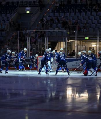 Adler Mannheim Vorbericht CHL