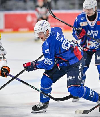 Adler Mannheim Vorbericht FRA BHV