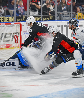 Adler Mannheim Vorbericht ING