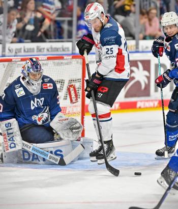 Adler Mannheim Vorbericht NIT ING