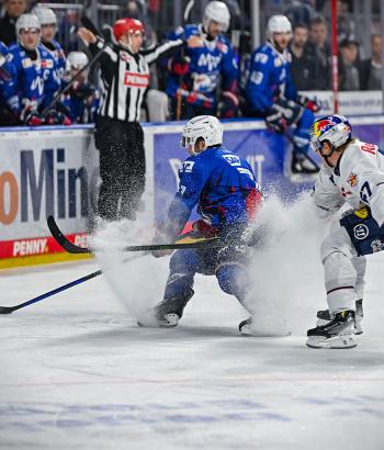 Adler Mannheim Vorbericht VF1