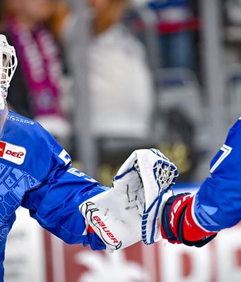 Adler Mannheim Vorschau BHV v2
