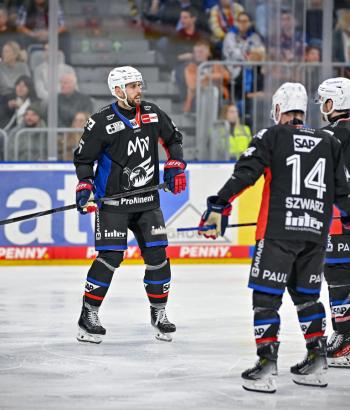 Adler Mannheim Vorschau EBB DEG