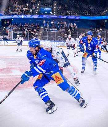Adler Mannheim Vorschau EHC SCL