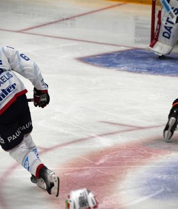 Adler Mannheim Vorschau EVZ ZSC