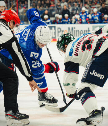 Adler Mannheim Vorschau F1